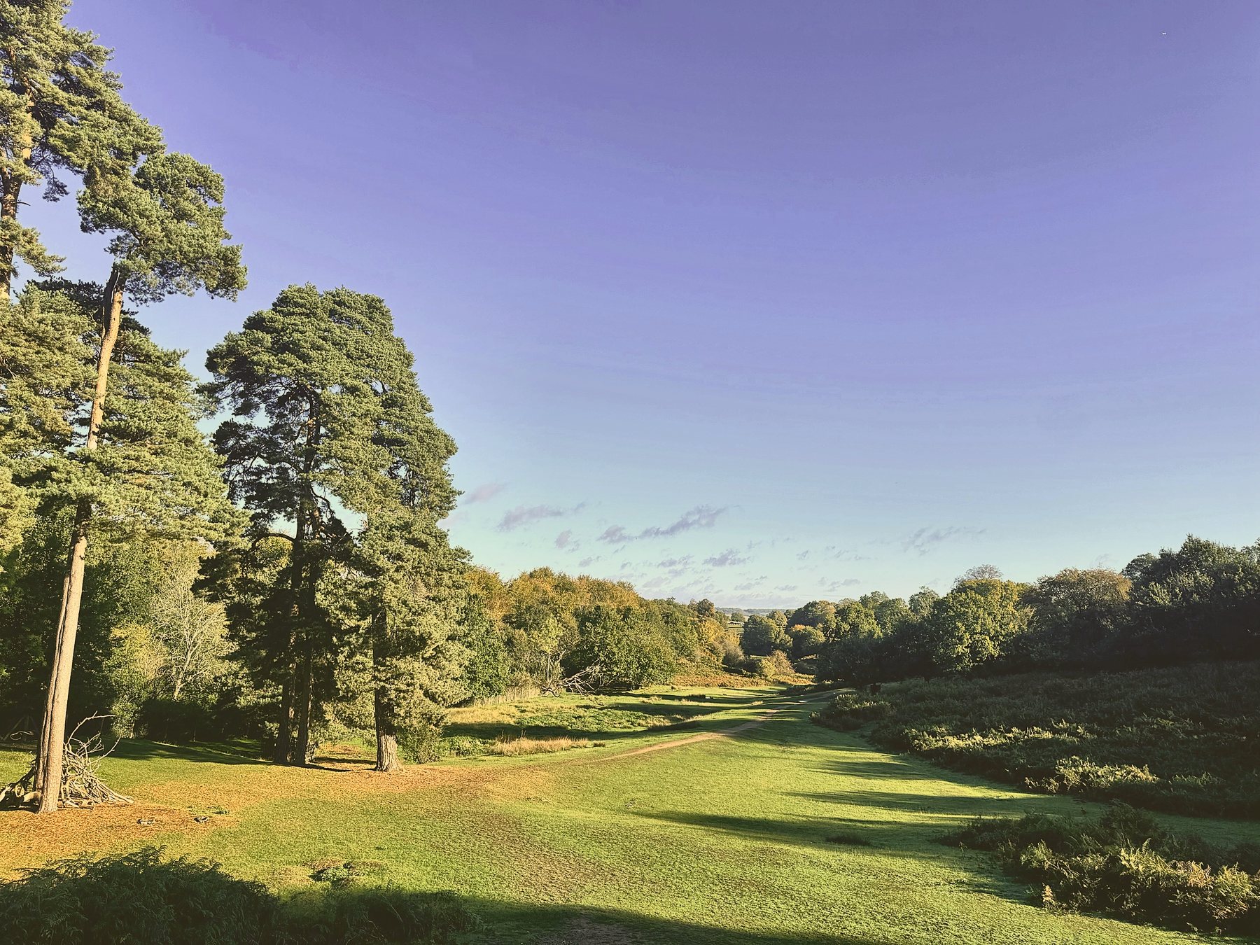Knole Park valley, Sevenoaks