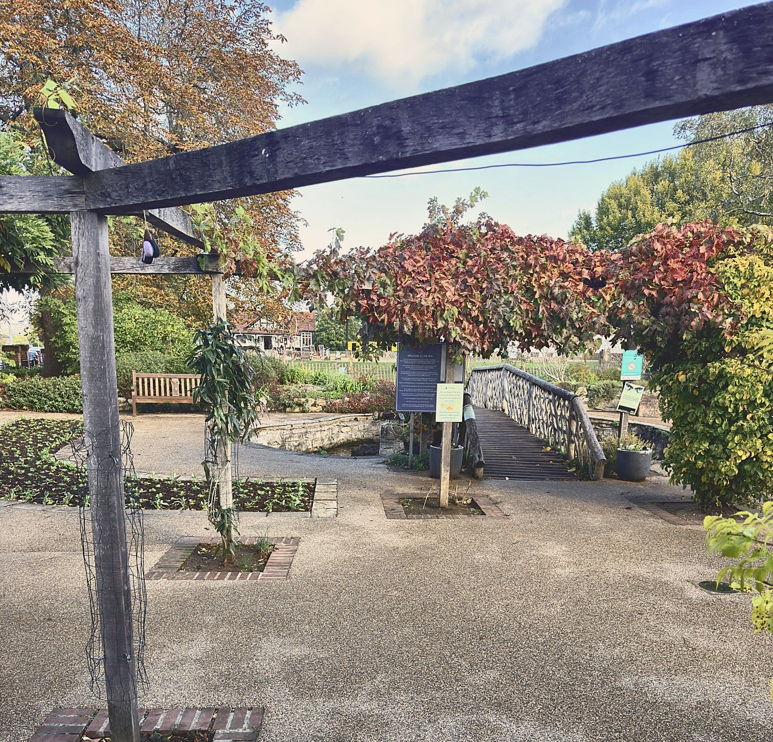 Pergola in The Vine Gardens